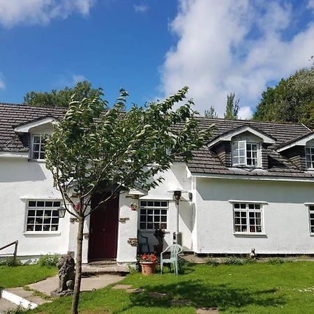 Coynant Farm Guesthouse - Farm Park Stay Swansea Dış mekan fotoğraf