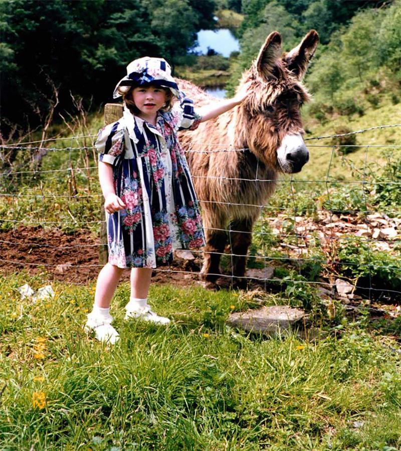 Coynant Farm Guesthouse - Farm Park Stay Swansea Dış mekan fotoğraf