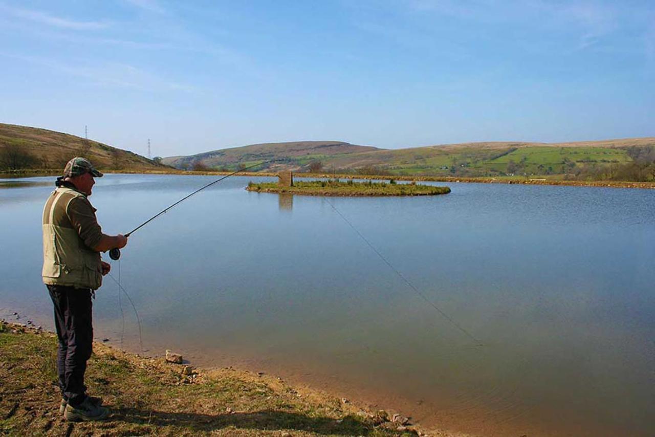 Coynant Farm Guesthouse - Farm Park Stay Swansea Dış mekan fotoğraf