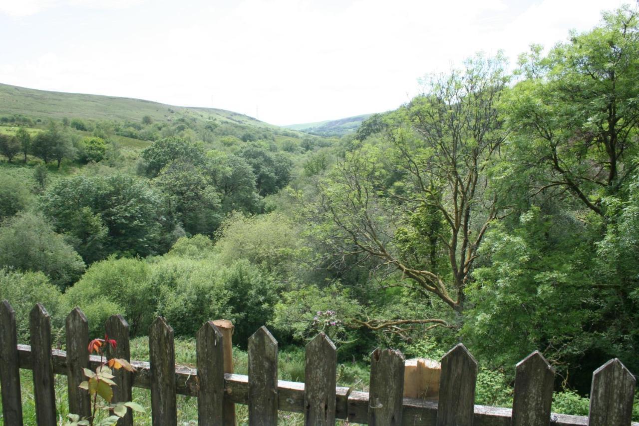 Coynant Farm Guesthouse - Farm Park Stay Swansea Dış mekan fotoğraf