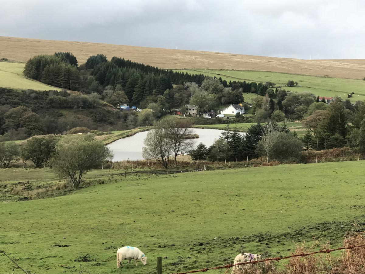 Coynant Farm Guesthouse - Farm Park Stay Swansea Dış mekan fotoğraf