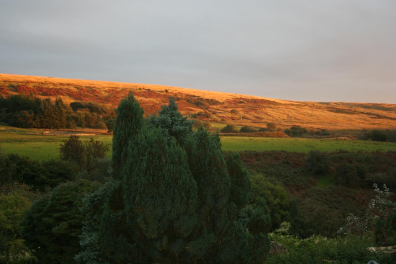 Coynant Farm Guesthouse - Farm Park Stay Swansea Dış mekan fotoğraf