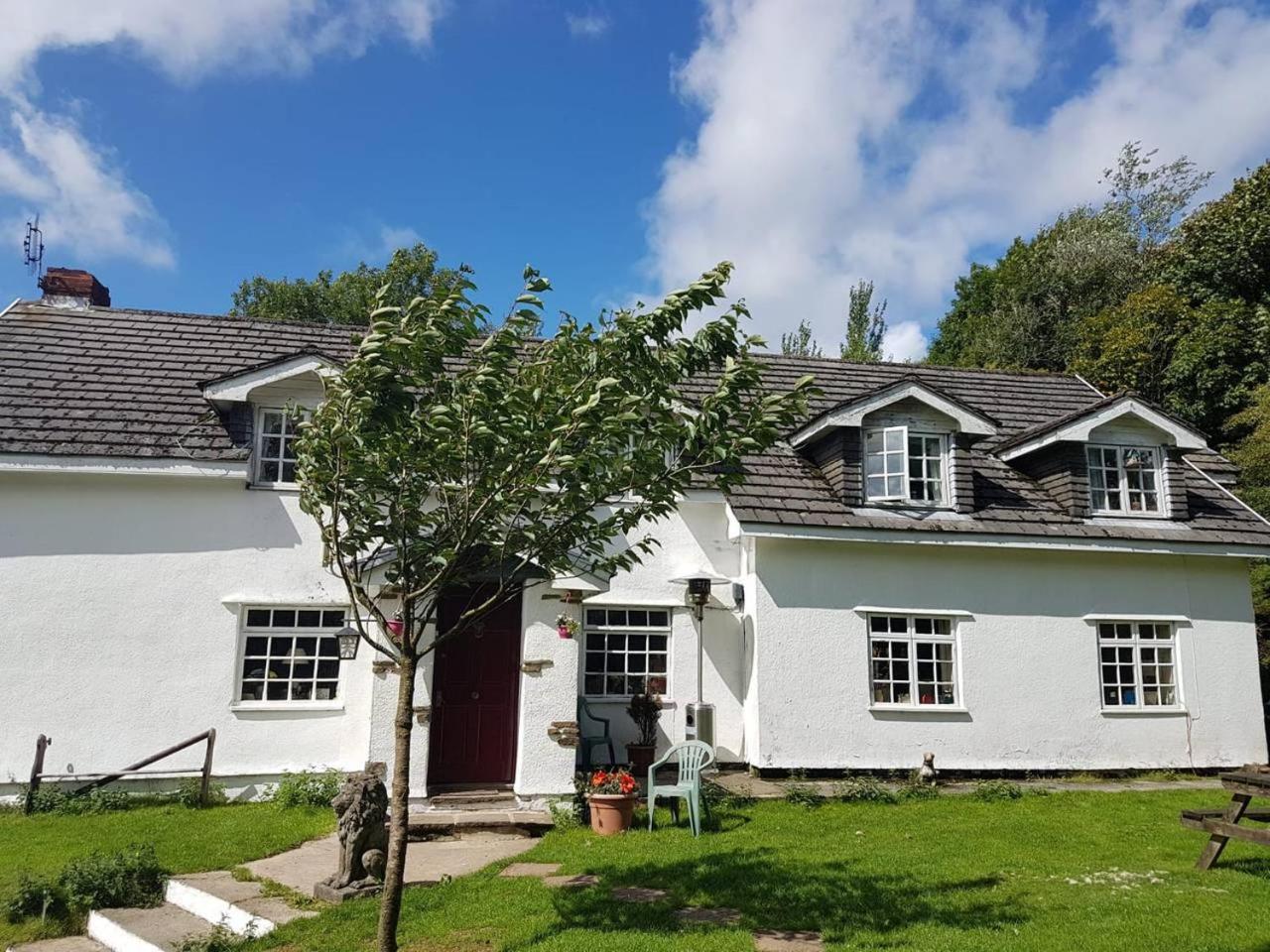 Coynant Farm Guesthouse - Farm Park Stay Swansea Dış mekan fotoğraf
